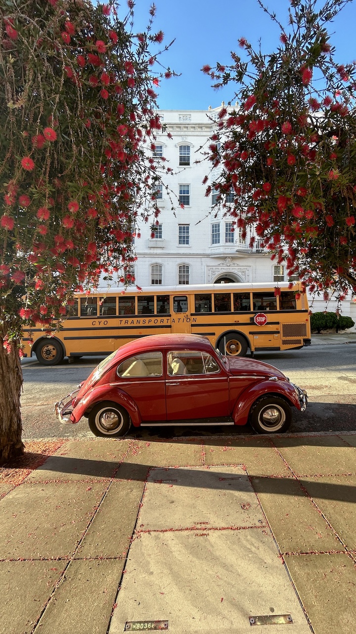 A San Franciscan morning