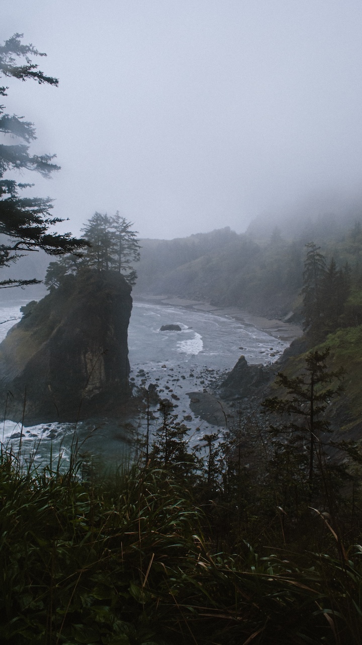 Gloomy Oregon Coast